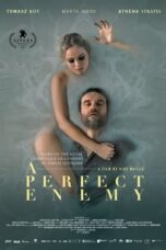 A Perfect Enemy (2021)