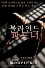 Blind Partner (2020)
