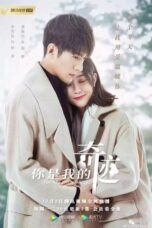 Drama China You Are the Miracle (2019)