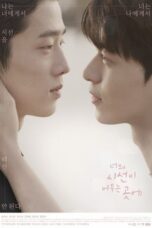 Where Your Eyes Linger (2020)
