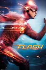 The Flash Season 1 (2014)