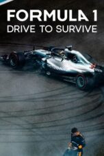 Formula 1: Drive to Survive Season 2 (2020)